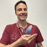 Dr Z BERNARD 
